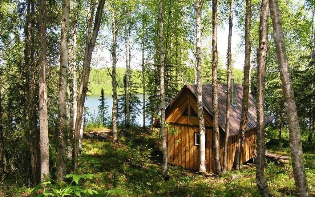 Talkeetna Lakeside Cabins Denali Exteriér fotografie